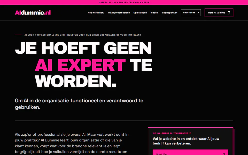 Voorvertoning van de homepage van aidummie.nl